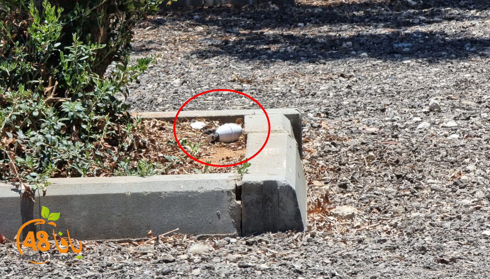 1WhatsApp Image 2021-07-048 at 12.44.52 PM.jpg